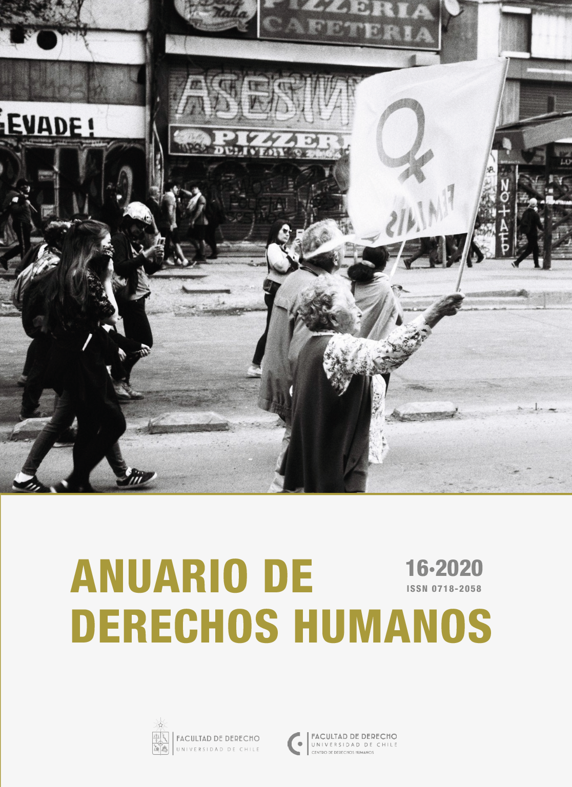											Visualizar v. 16 n. 2 (2020): Anuario Derechos Humanos
										